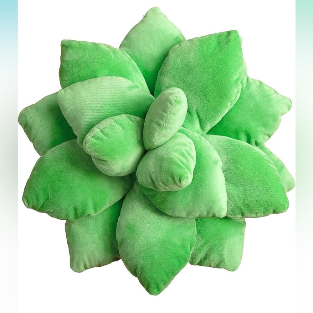 Succulent pillow